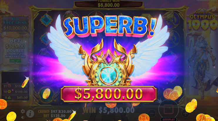 Carlos | Gambulls.com tweet media