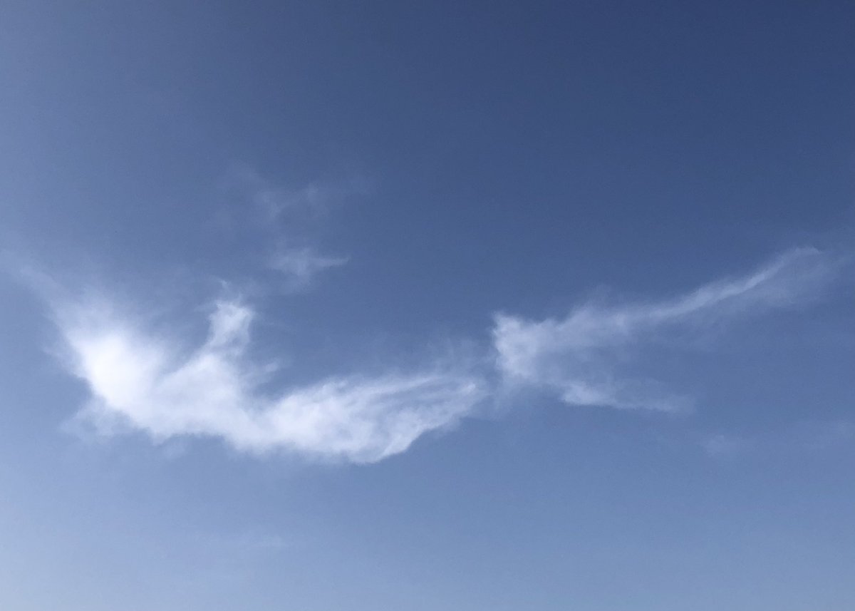 mahocam's tweet photo. #イマソラ https://t.co/yAW1MDOZ9d