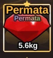 Kuntul885's tweet photo. WTS RUBY GEMS 40Ex https://t.co/6U5d06qRxn