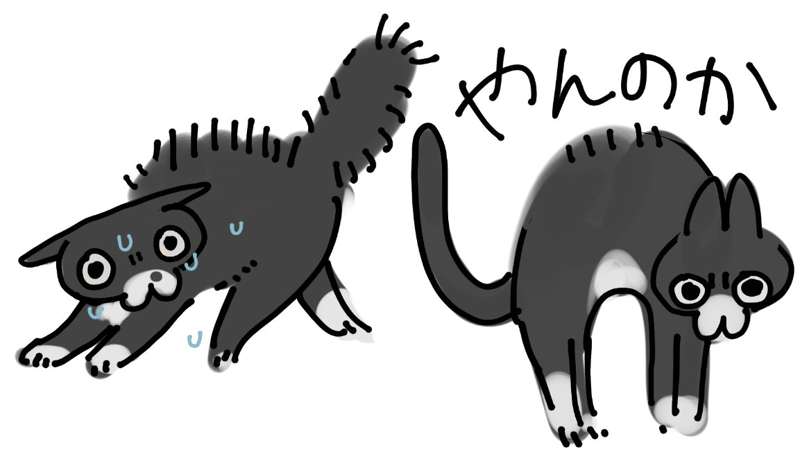 Post by . on X: ねこ