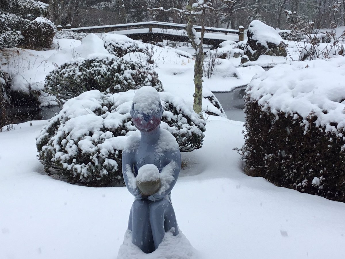 suikouen1's tweet image. 今日の水光園❄️
気温は０℃
弱い雪がず〜っと降ってます☃️