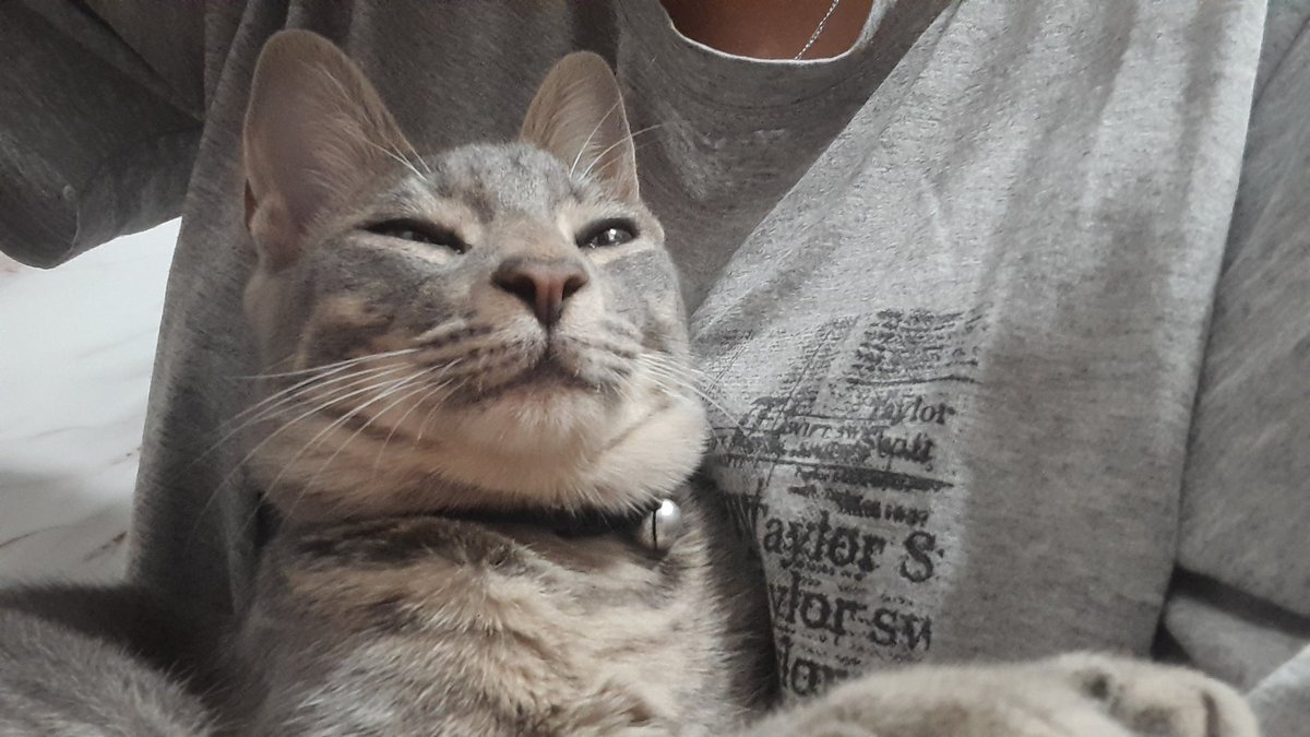 mi hijo tiene PAPADA no entiendo