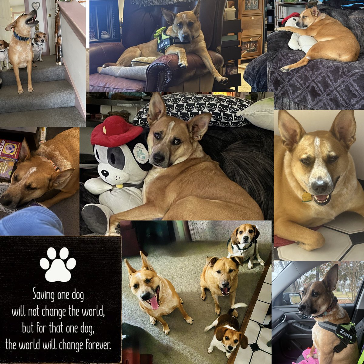 Sherry Reich tweet media