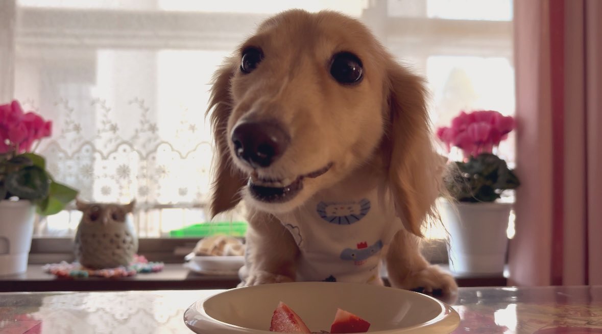 そると🧂 tweet media