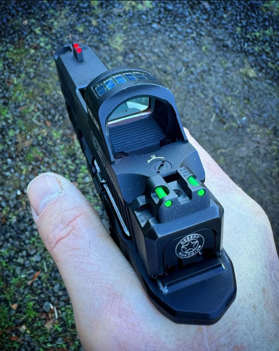 TAGPrecision's tweet photo. The perfect back up irons if your red dot goes down! Great pic by desert_guardian 🔥 https://t.co/dSaJD0HuCL