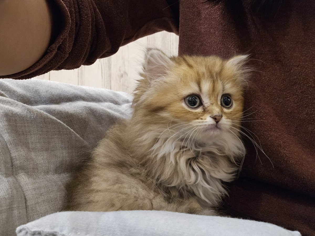 payitforward (@7payitforward) / Posts / X