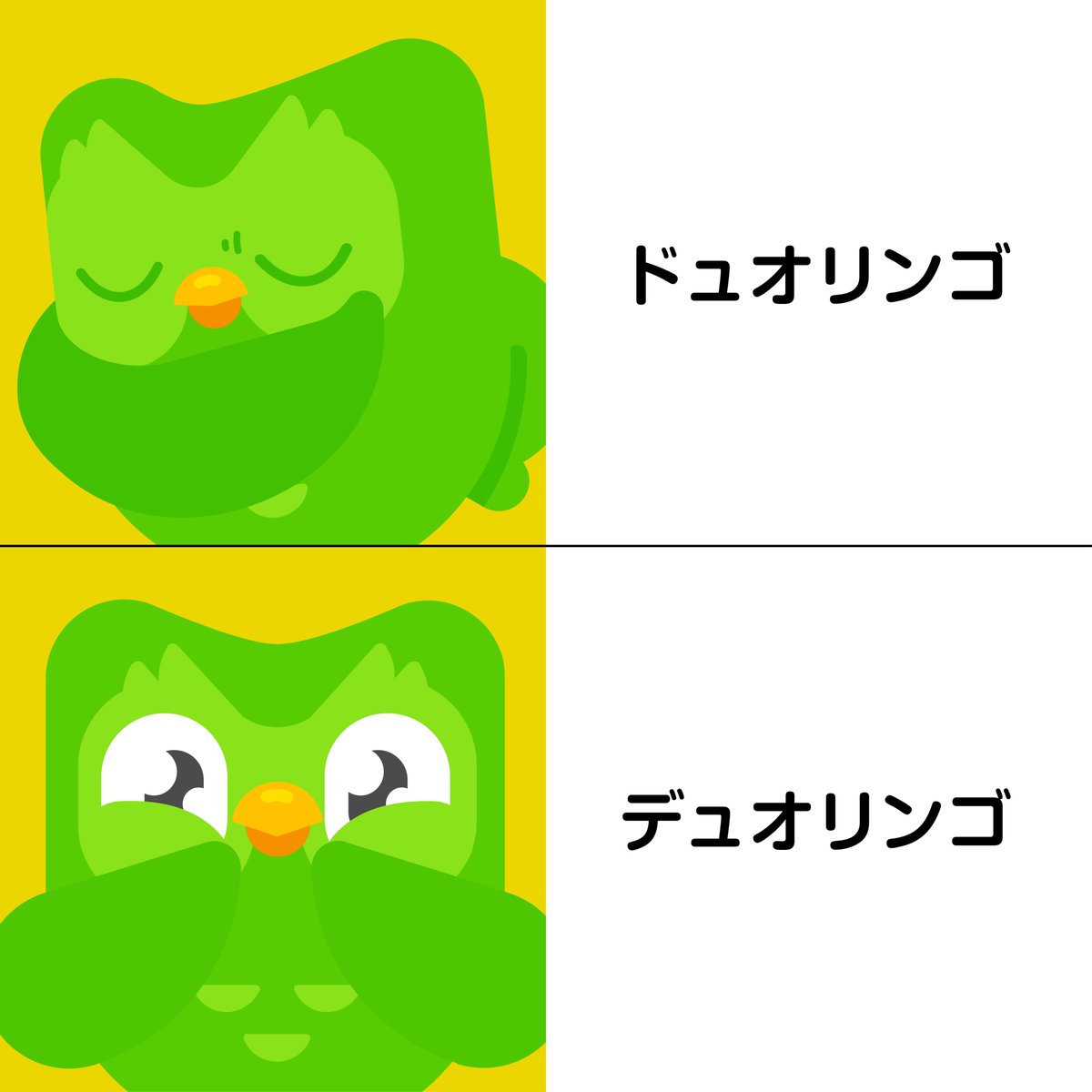 Duolingo(デュオリンゴ) | 日本公式🇯🇵 (@Duolingo_Japan) / Posts / X