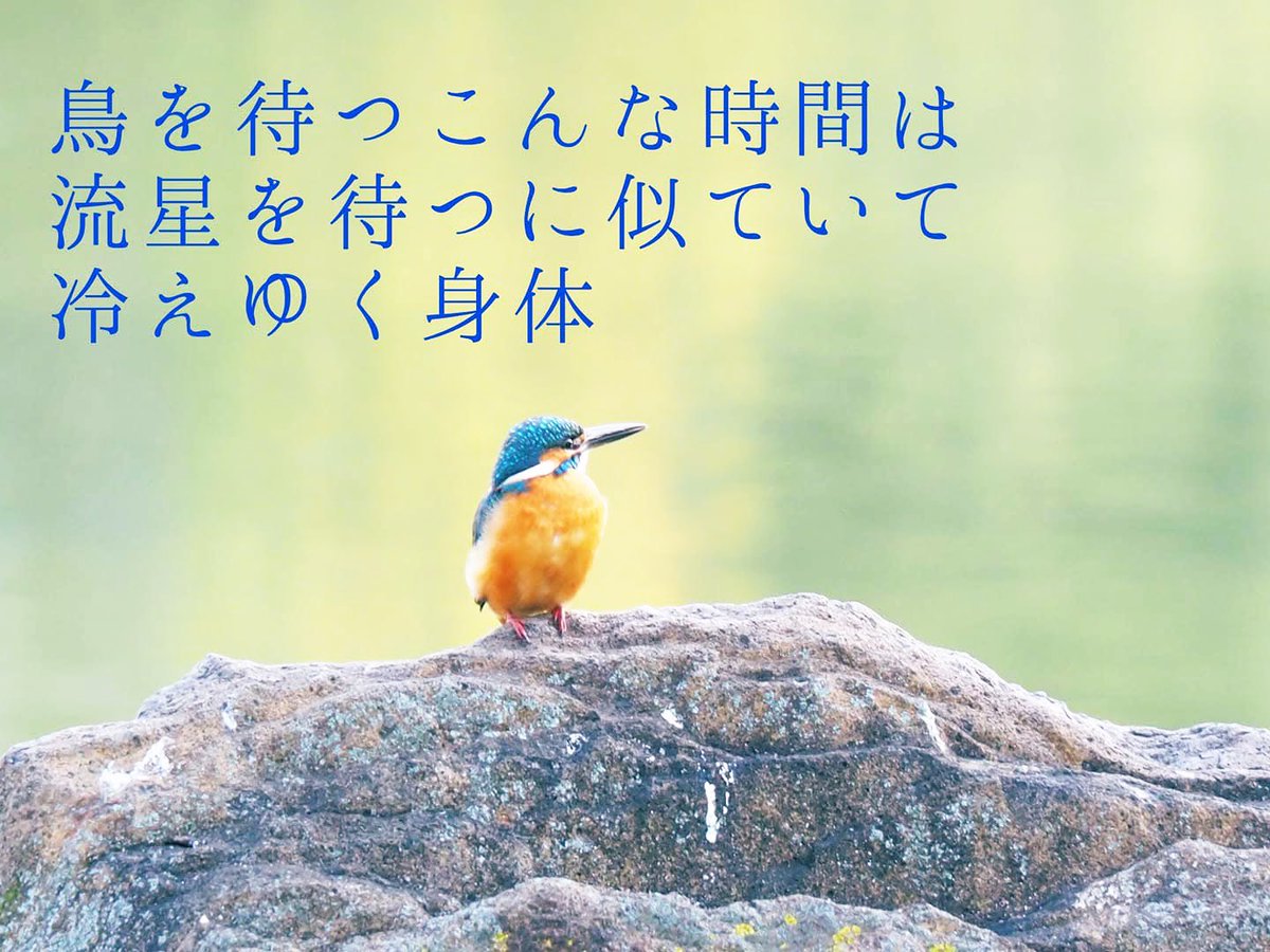 撮影、奈良📷
短歌✖️写真