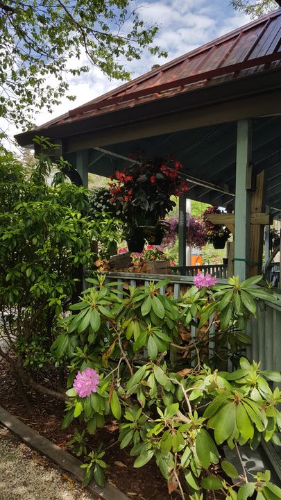 Art of the Day! "Fred's General Mercantile in May". Buy at: ArtPal.com/jrobin?i=14231…