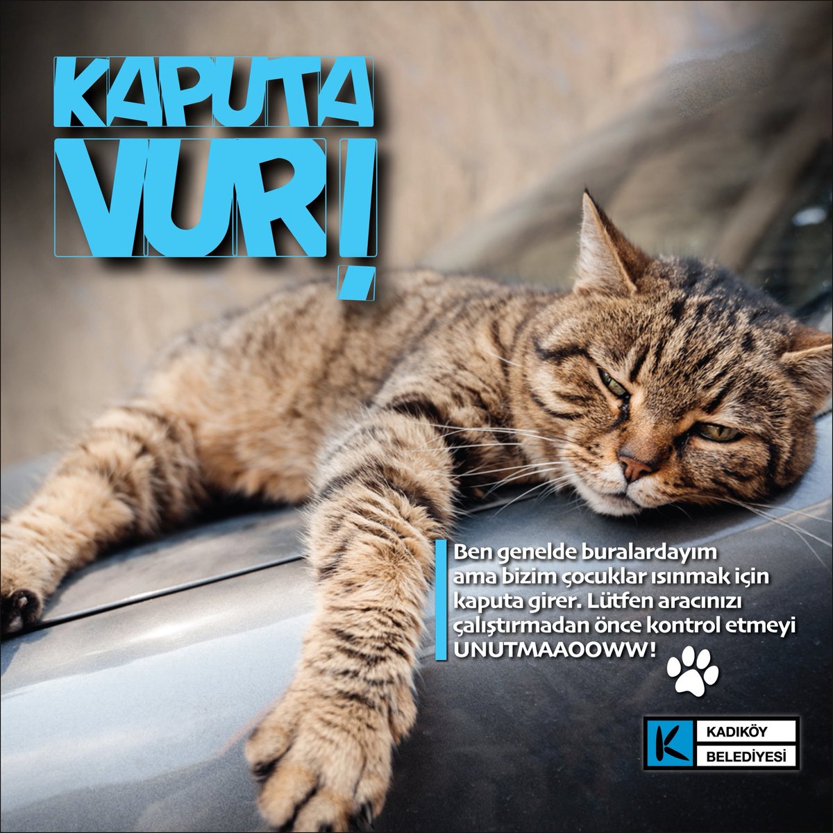 kadikoybelediye's tweet image. Ben genelde buradayım ama bizim çocuklar ısınmak için kaputa girer. Lütfen aracınızı çalıştırmadan önce kontrol etmeyi UNUTMAAOOWW❗️🐾
