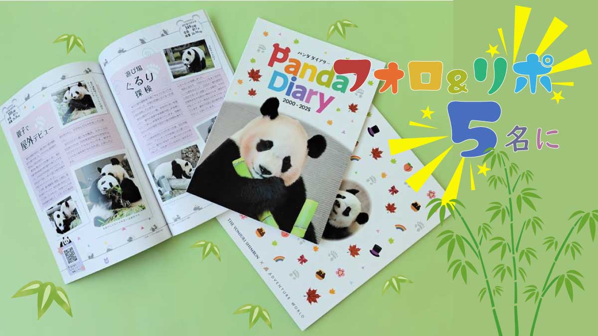 📢ムック本『パンダダイアリー』を抽選で5名に🐼

🐼応募方法🐼
①本アカウントをフォロー 
②投稿をリポスト ※締め切りは2/8（日）23:59
 ※当選者にはDMでご連絡します。
