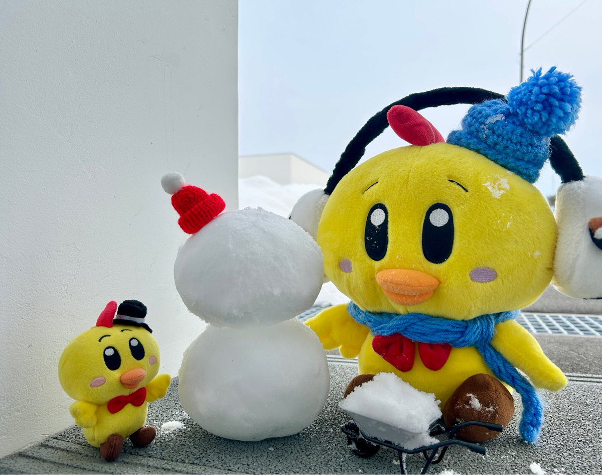 明日から大寒だって〜！🐥❄️

二十四節気のひとつで、1年でもっとも寒さが厳しくなる時期みたい:(´◦ω◦):

ピータンは風の子🍃なのでお外で遊んじゃうよ😆
...と思ったけど、寒っ‼️

しっかり防寒対策しなきゃ〜〜🫨

てなわけで🐥
去年より大きい雪だるまさんができたよ🤍
今年も自信作🥳

#中札内村