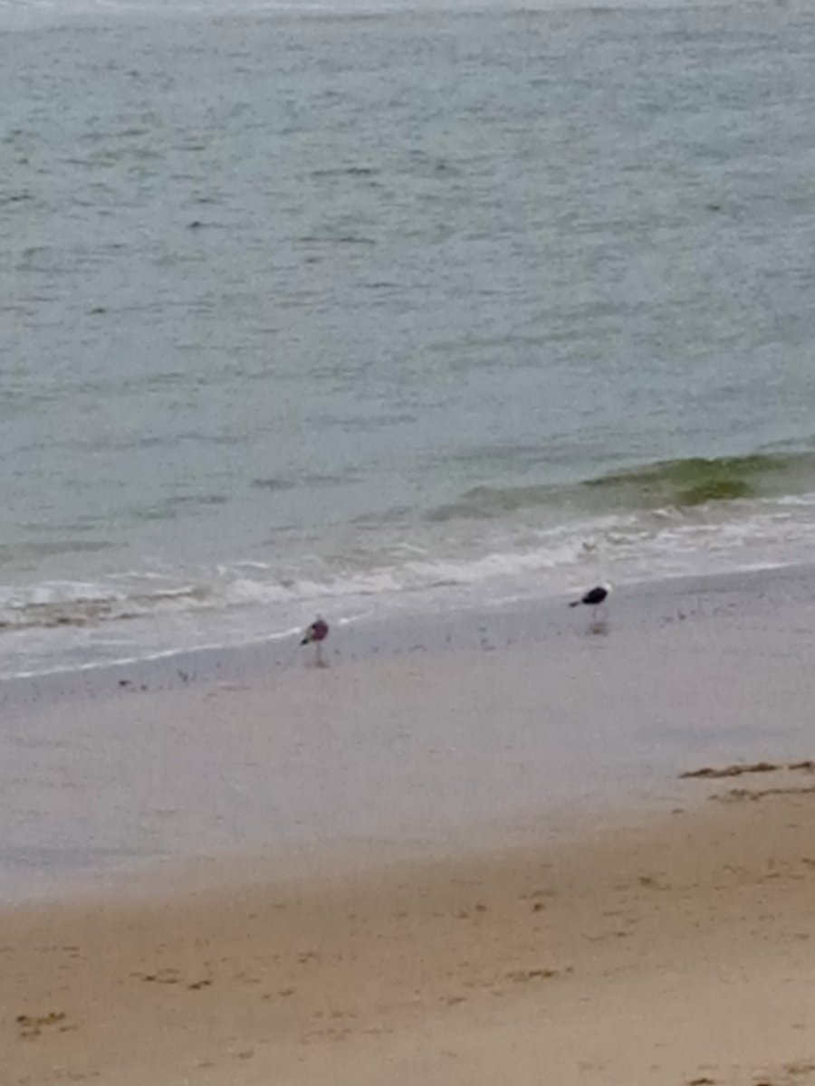 😎 Iván. tweet media