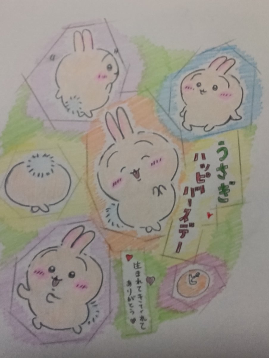 うさぎ- ̗̀ ꪔ̤̥ꪔ̤̮ꪔ̤̫ ̖́- tweet media