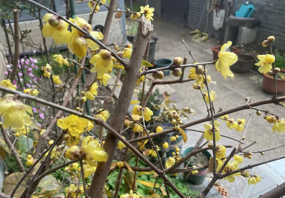 爱自己，爱家人。爱在乎你的人。 爱脚下的土地。你没有选择，没法假装自己不生活在这里。它与你一荣俱荣，一损俱损。