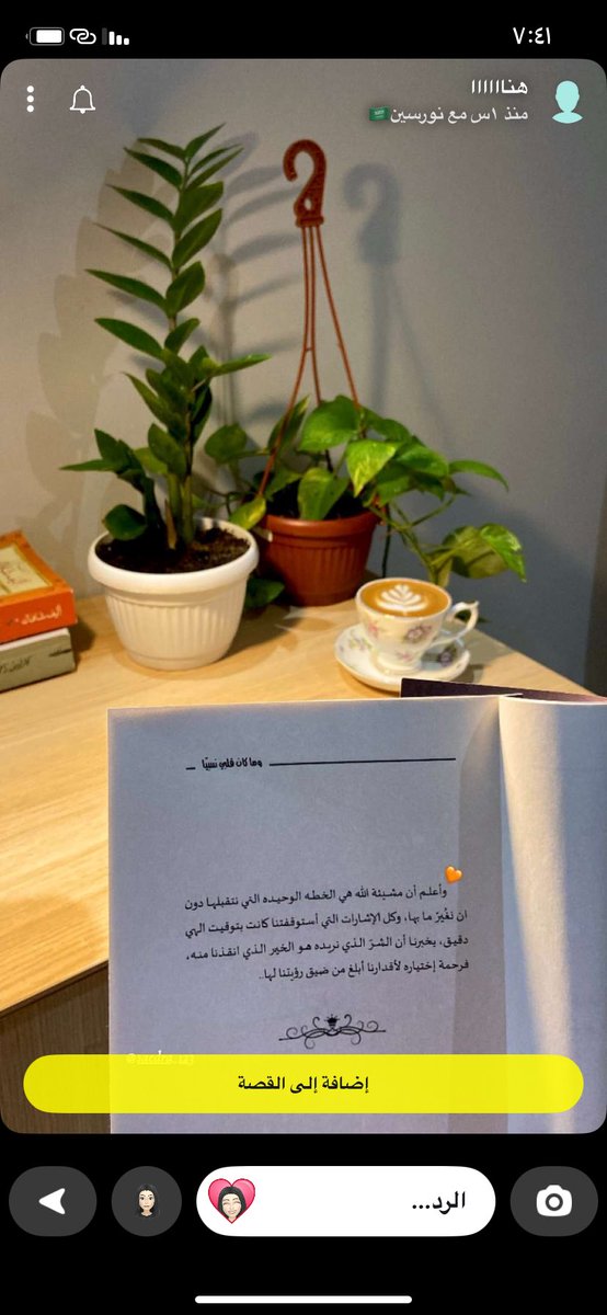 نجاح إدريس "نورسين" tweet media