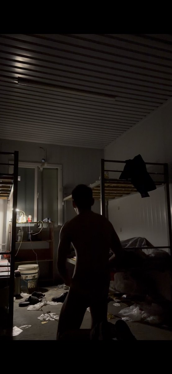 虎子爱吃肉 tweet media