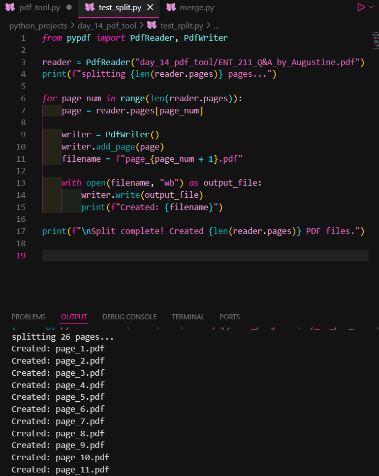 Chisom🌟 tweet media