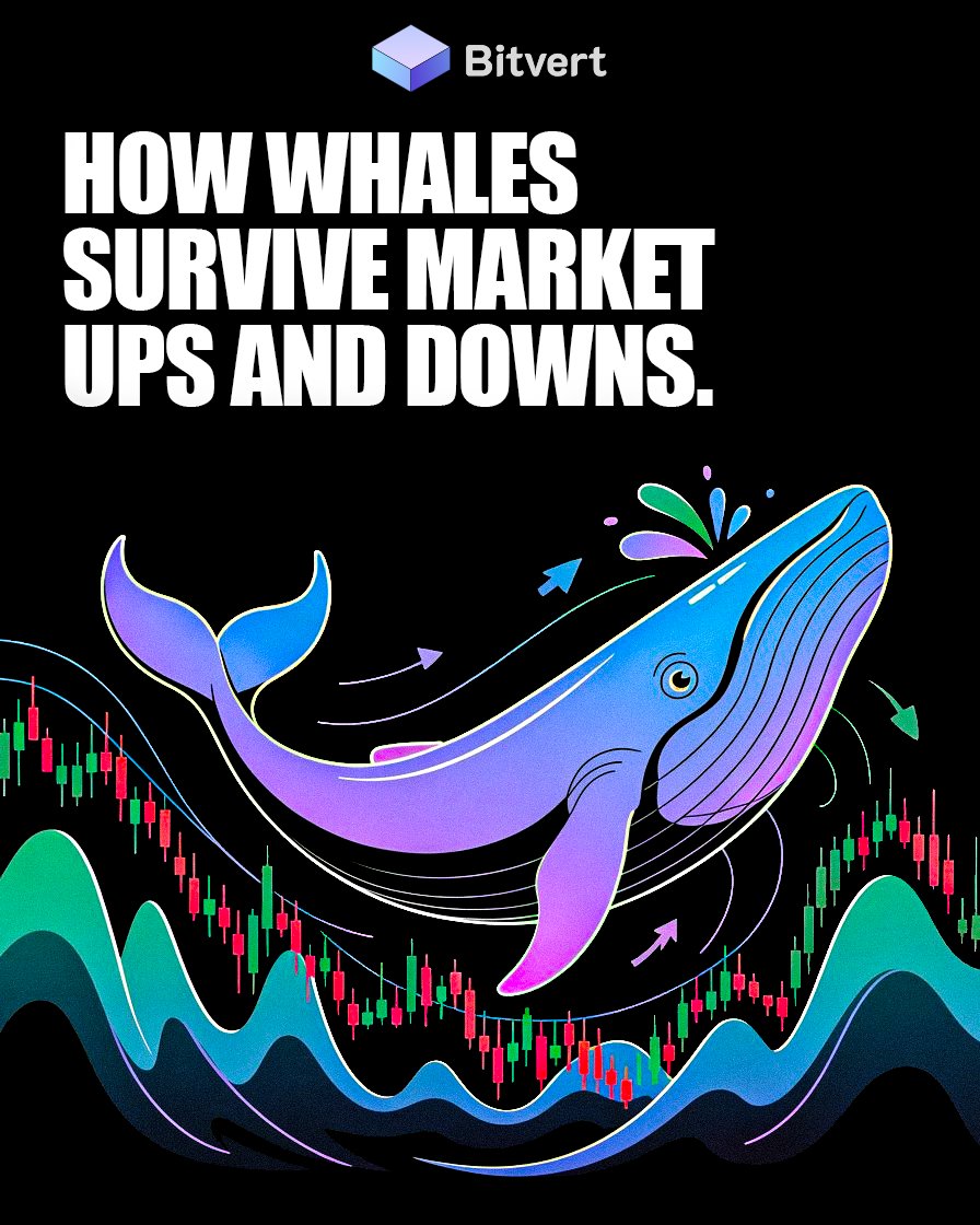 bitvert's tweet photo. Market volatility is inevitable, but experienced market participants, often referred to as whales, survive and grow through both uptrends and downturns by following disciplined strategies rather than reacting emotionally. https://t.co/kQFdIap0Jg