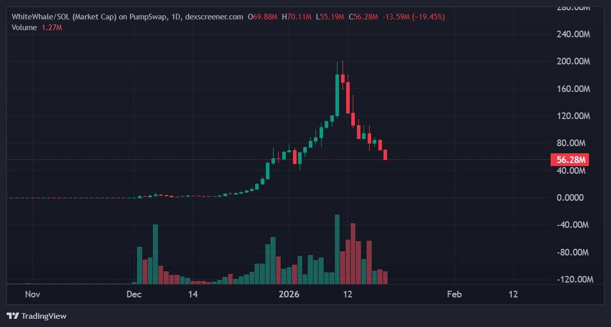 What kind of retarded ass chart is this $WHITEWHALE