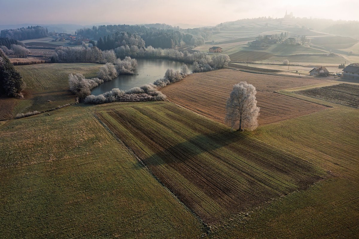 Goričica