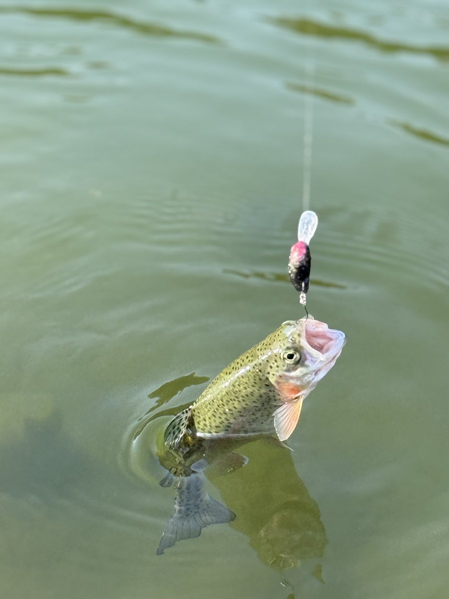 トトロ🍃 (@TOTORO_JZX100) / Posts / X