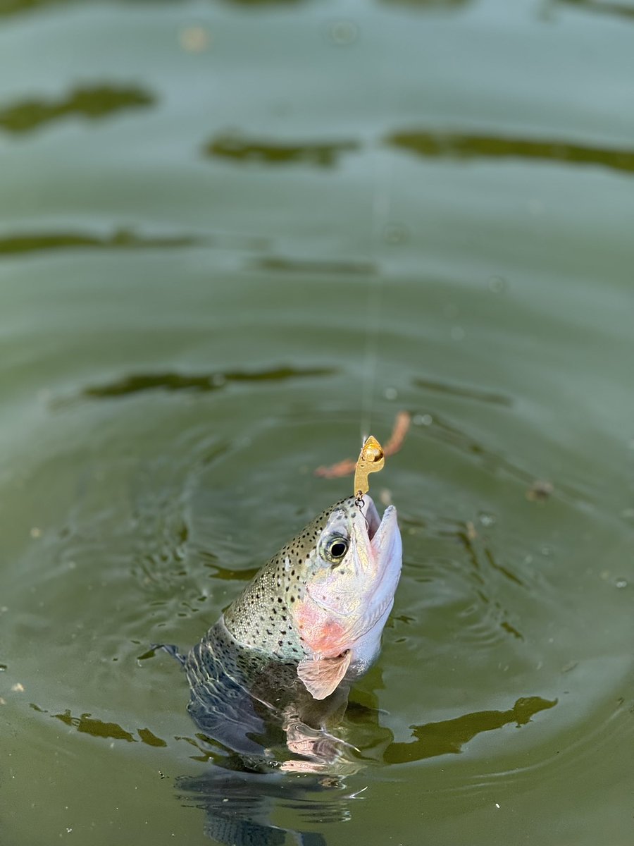 Post by トトロ🍃 on X: 難しい