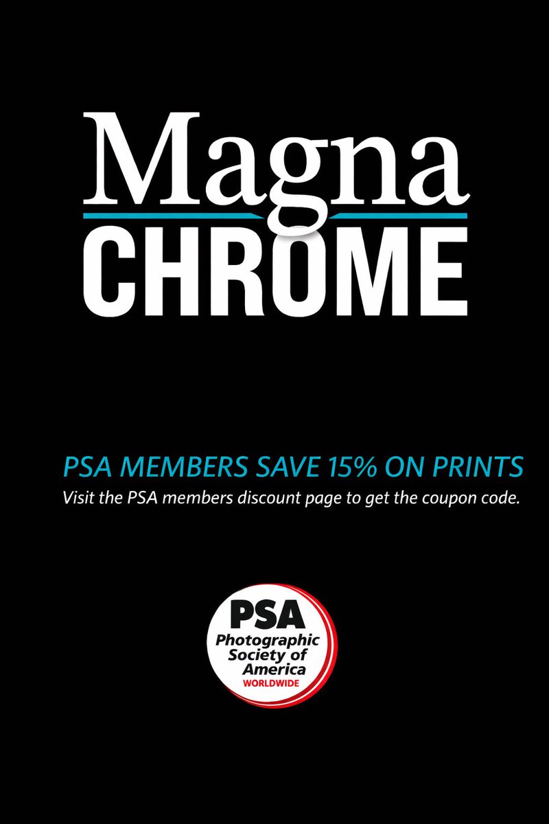 WorldwidePSA's tweet photo. NEW PSA SPONSOR ALERT ‼️ 

We’re excited to welcome one of our newest sponsors and introduce a brand-new members-only opportunity for the PSA community.

👉 Want in? Become a PSA member:
🔗 https://t.co/KIkZSJiWr8 https://t.co/cihXvKXIZo