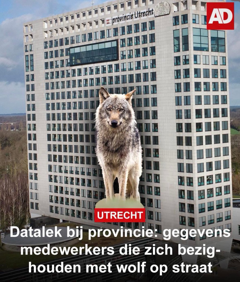 Annemieke van Straaten / Stichting Annemieke tweet media