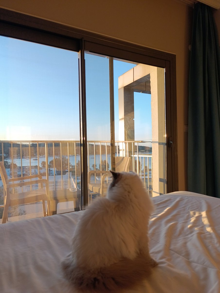 full time zihin iscisi tweet media