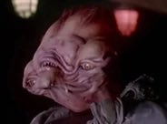 NunyaBidness tweet media