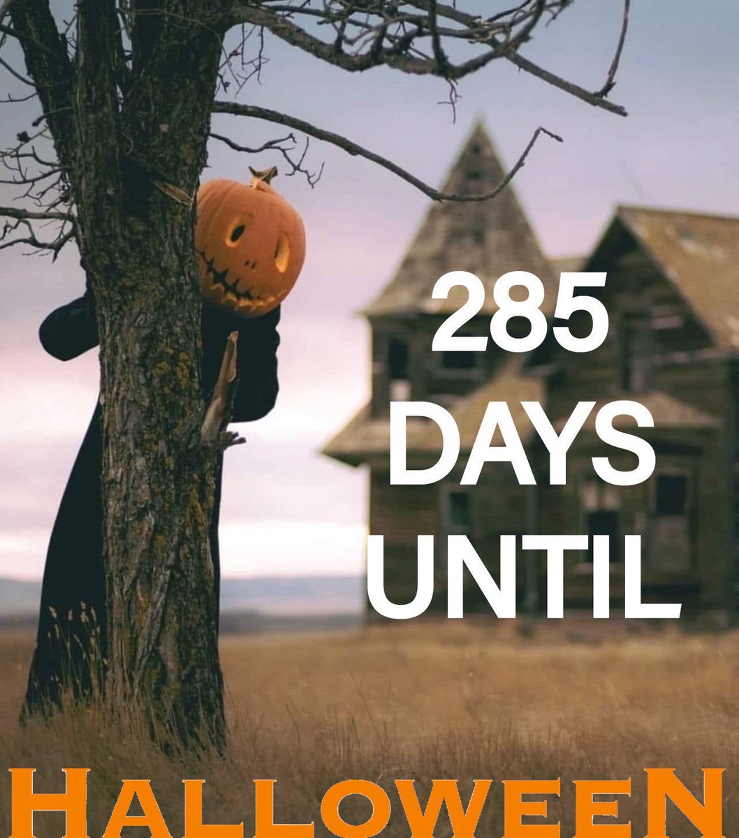 HalloweenVerse's tweet image. 285 Days Until Halloween 🎃 
#Halloween2026