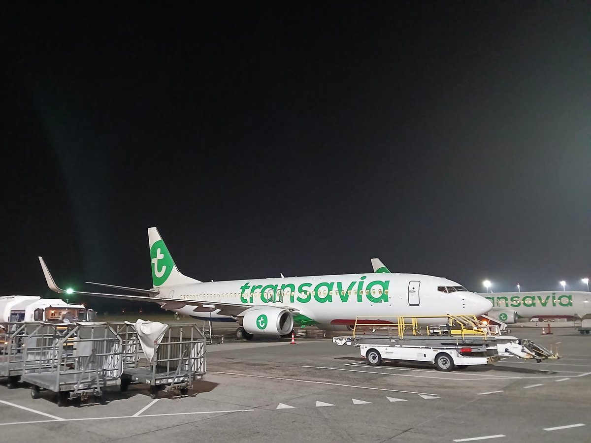 Mart ❌❌❌ 🤟🤎🇮🇱🎗️ tweet media