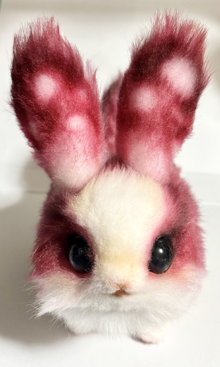 Teritre Doll/テリトルドール (@teritre_doll) / Highlights / X