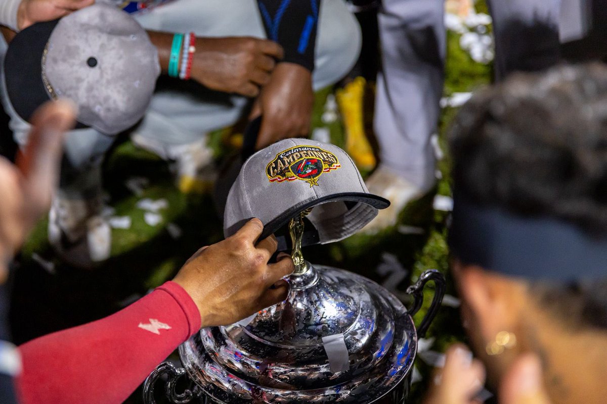 Liga Profesional de Béisbol Colombiano tweet media