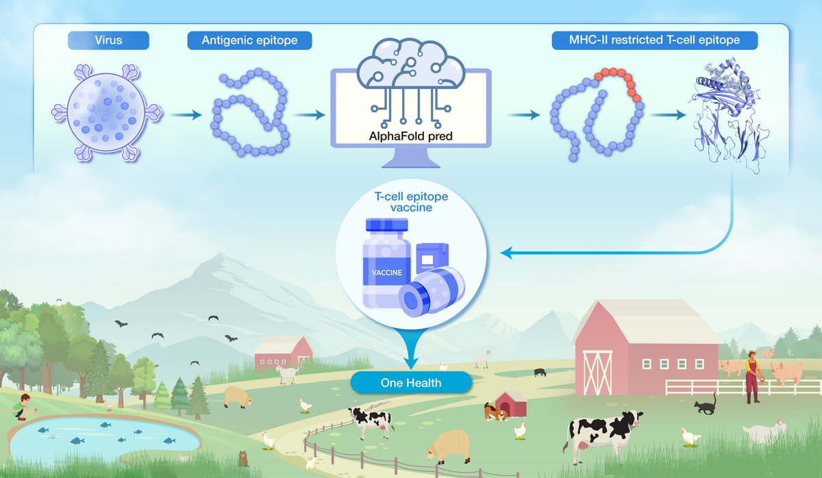 hLife_2023's tweet photo. Pan-prediction of major histocompatibility complex class II–restricted epitopes across species via an AlphaFold-based quantification scheme
Read more on hLife👇👇👇
https://t.co/ba3jcRJANT
#hLife #Science #Research #Health #healthjournal https://t.co/kR45w5xMid
