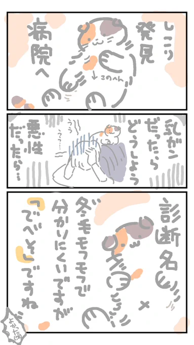 我が家の三毛猫さま。「でべそ、でした」 