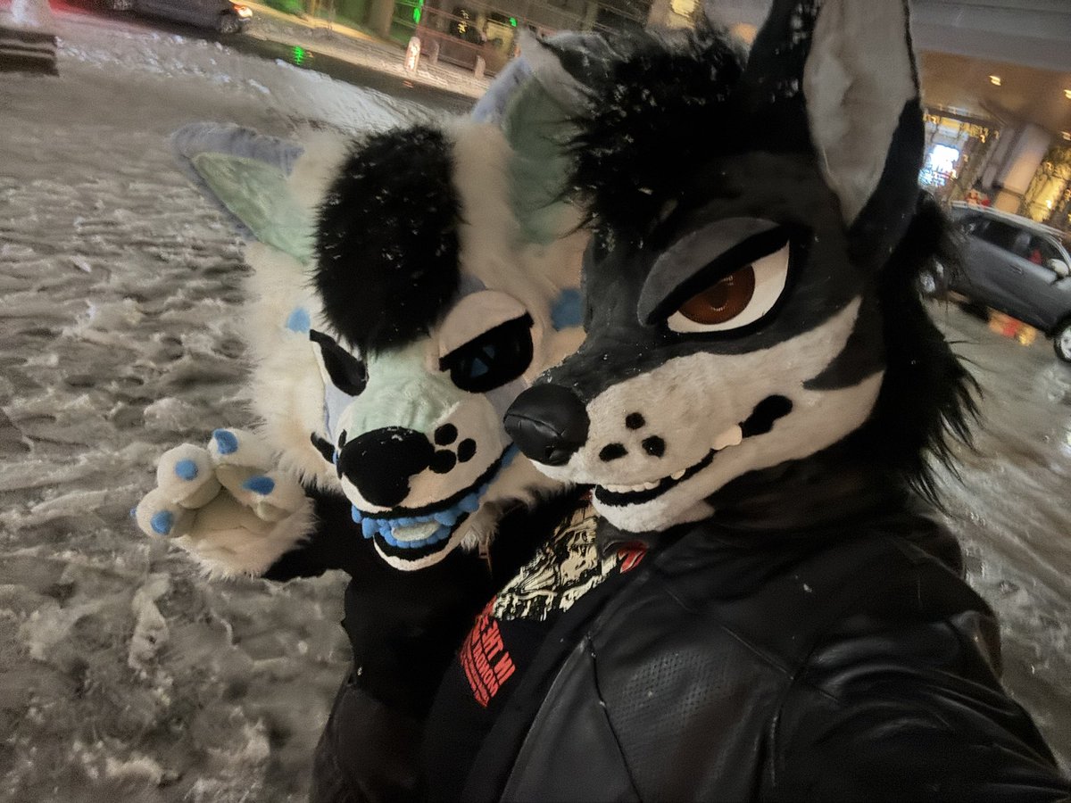 doberbr0_'s tweet photo. ane :3 https://t.co/GidhUlQ4bN