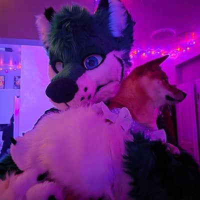 furr91124's tweet photo. Join the zoo world #Lovedogs to access amazing #furry doggo videos 🍕🎬 
Dm now for menu👇 https://t.co/nKze4Yt1ja https://t.co/wt90tHuxbw