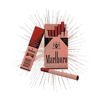 🪳 . ︶ 𝓶etamorphosis ʾʿ ⬞ ꩜ tweet media