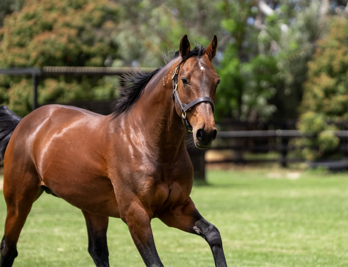 Alabar Farms tweet media