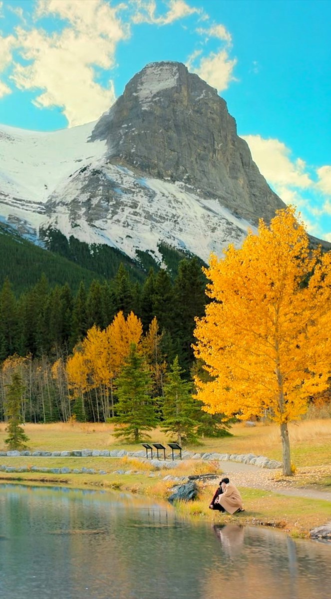 tataforseonho's tweet image. THIS IS SO BEAUTIFUL!!!!
#CanThisLoveBeTranslated