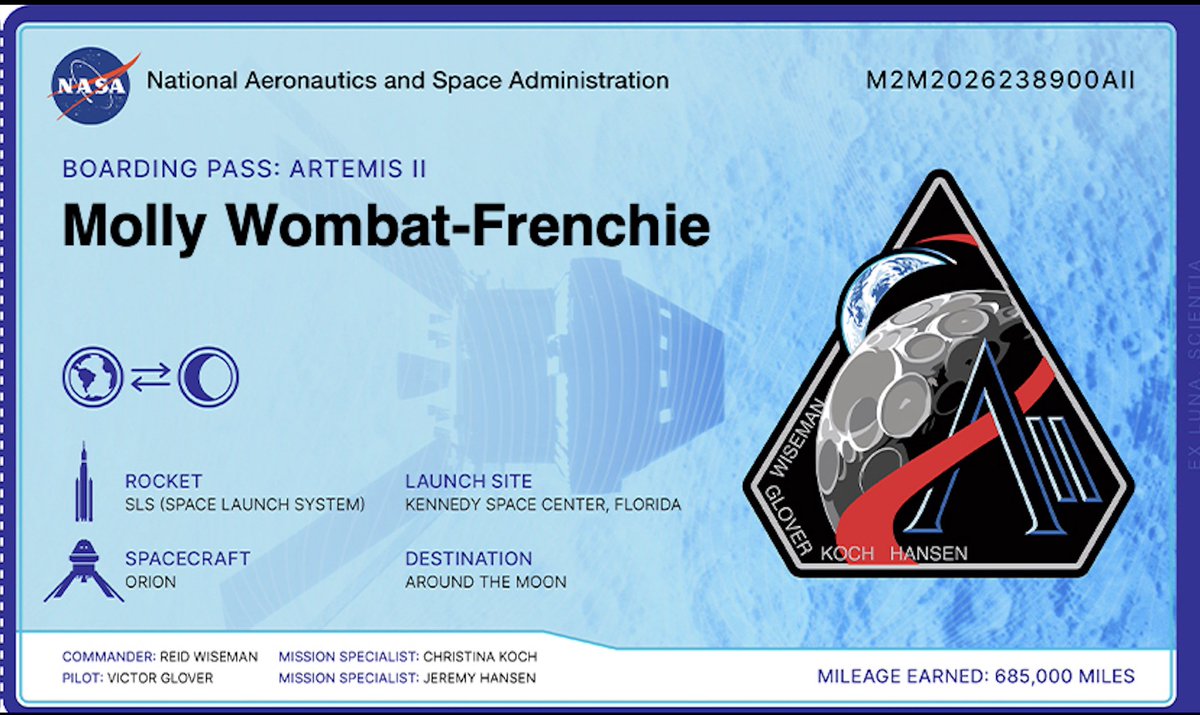 Look 👀 wot mumma got for me!! I habs a barking-pass to #ArtemisII . Tanks <a href="/NASA/">NASA</a> 💕🐾🐾
