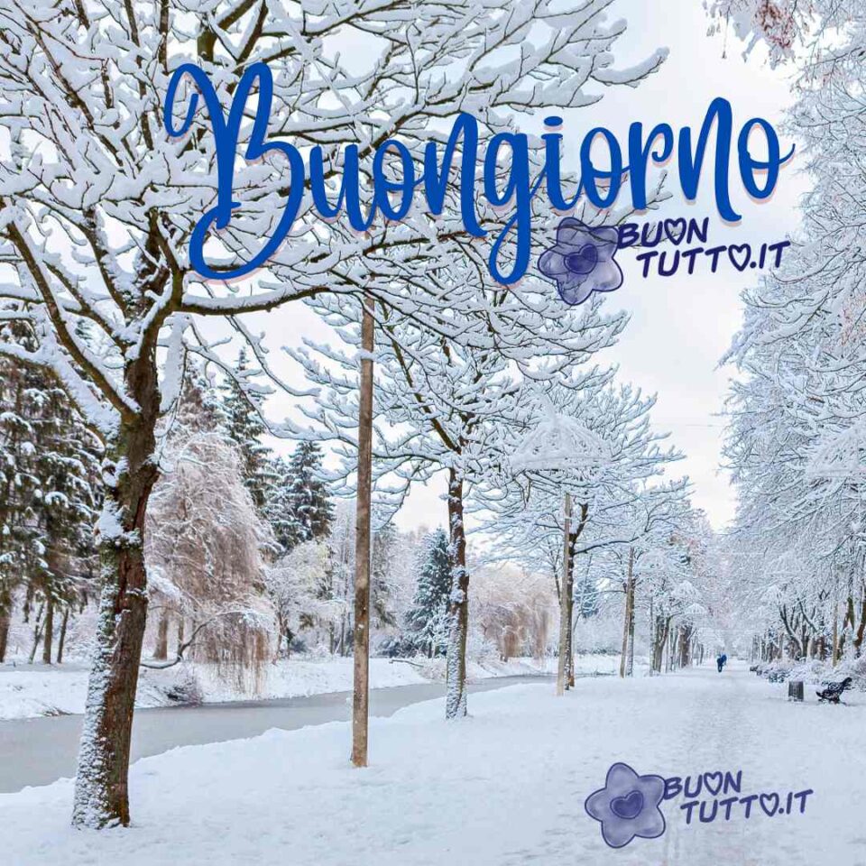 CappatoSimo's tweet image. Buongiorno, felice lunedì  a tutti e buon inizio settimana.😊☕️🍰🦋🪷🪻