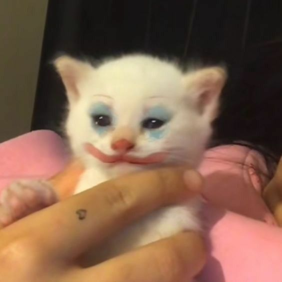 how i be feeling when i make the same jokes for the 67th time