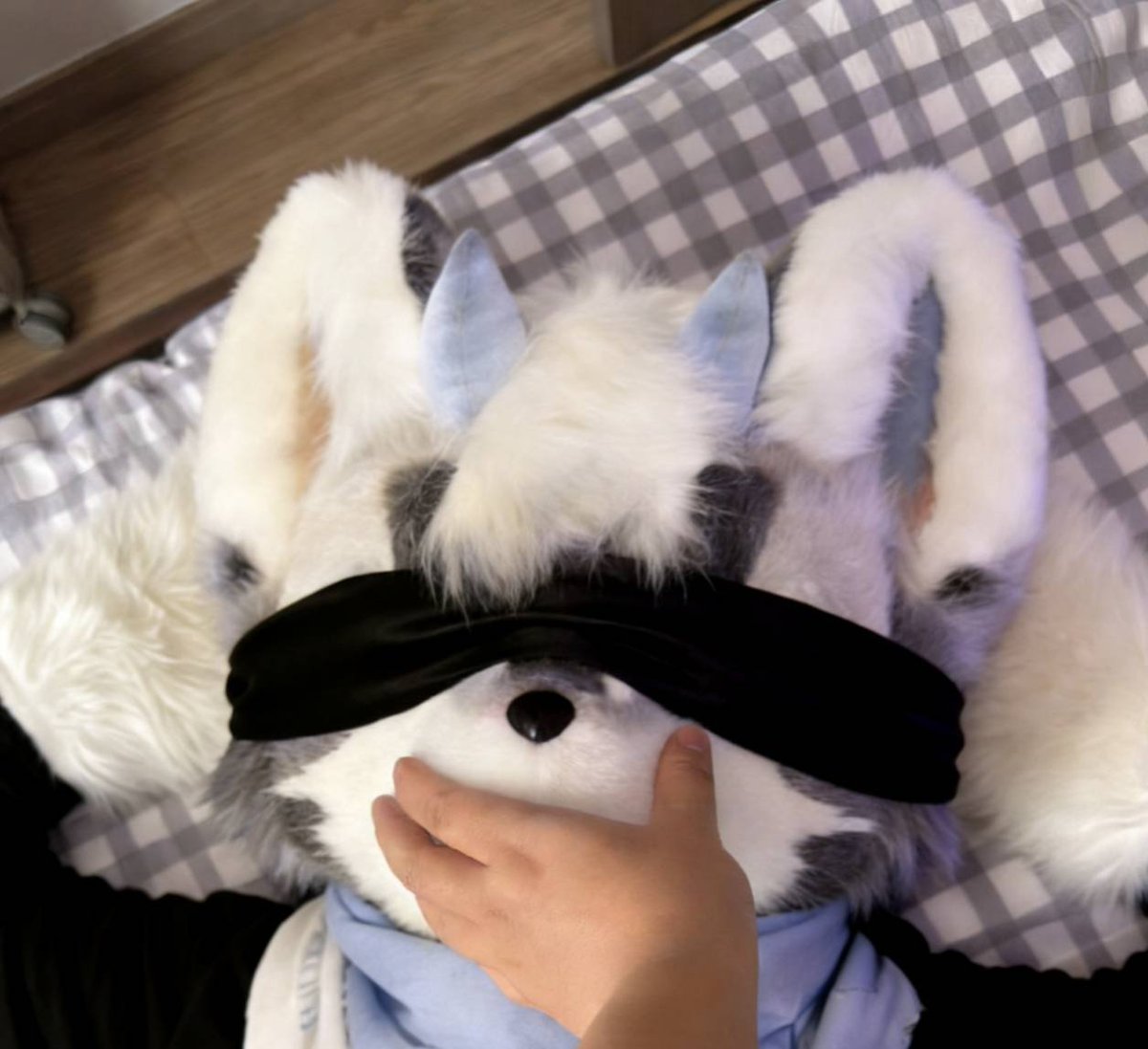 ⭐霜竹（焚星） tweet media