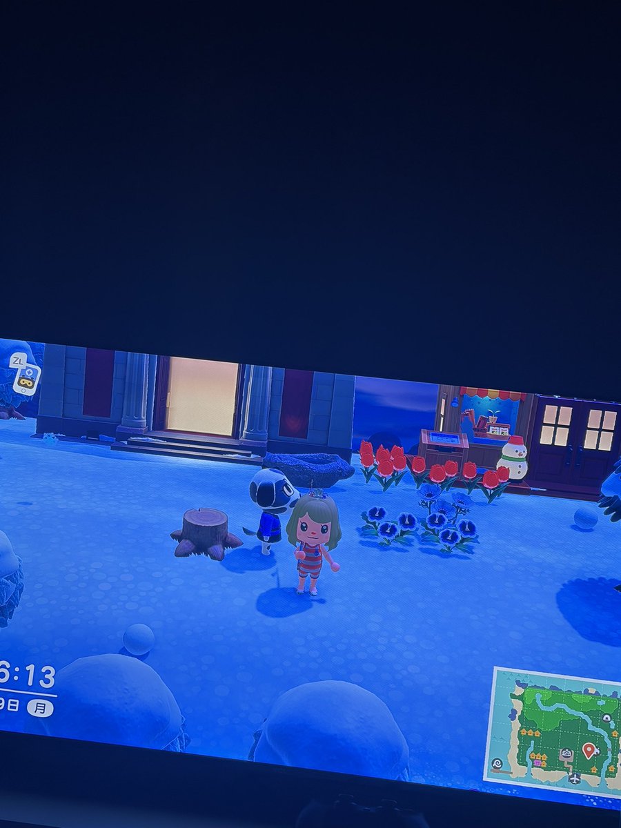 Ring_fab's tweet image. おはよう！
今日はゲームしかしません