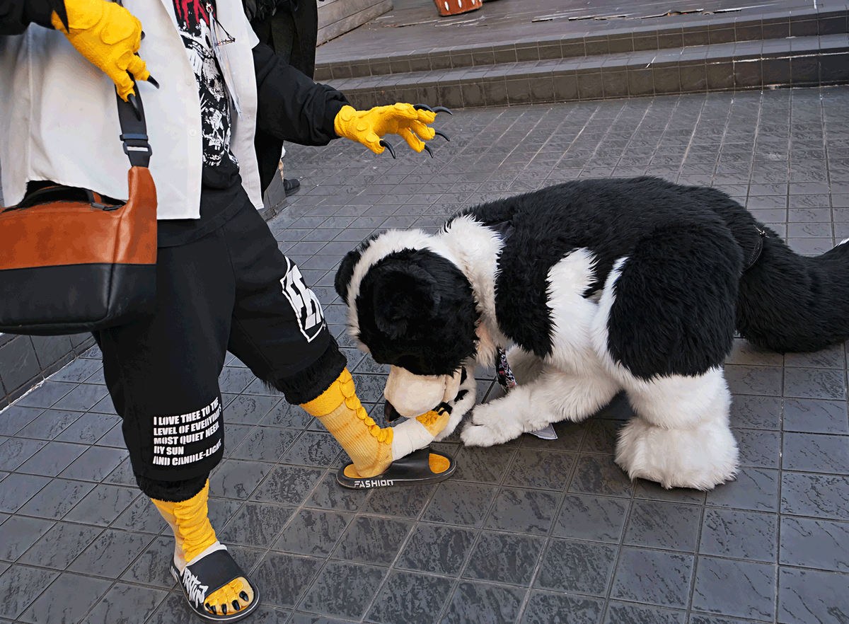 TAN🦅🔜Furst Class tweet media