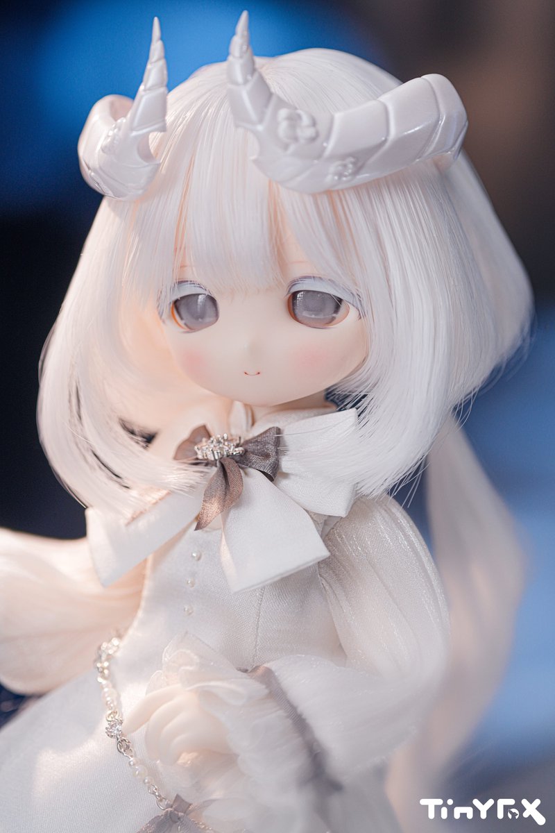 ラペオニア公式アカウント tweet media