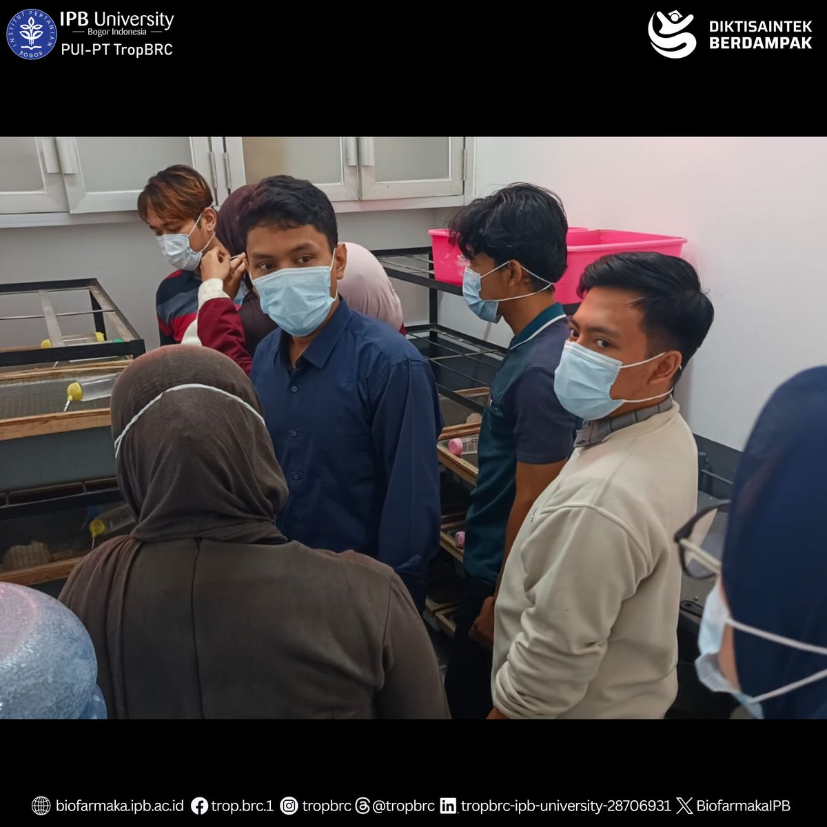 TropBRC IPB tweet media